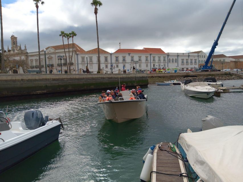 Faro: Dolphin and Marine Life Watching Boat Tour - Practical tips: what to bring for a smooth Faro sea day