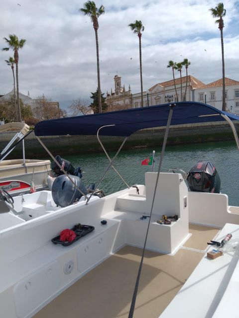 Faro: Dolphin and Marine Life Watching Boat Tour - Entering Faro’s protected waters at Ria Formosa