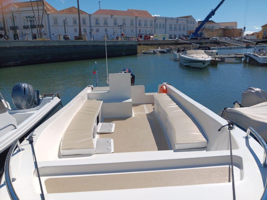 Faro: Dolphin and Marine Life Watching Boat Tour - Timing and pacing: how 2 hours really feels