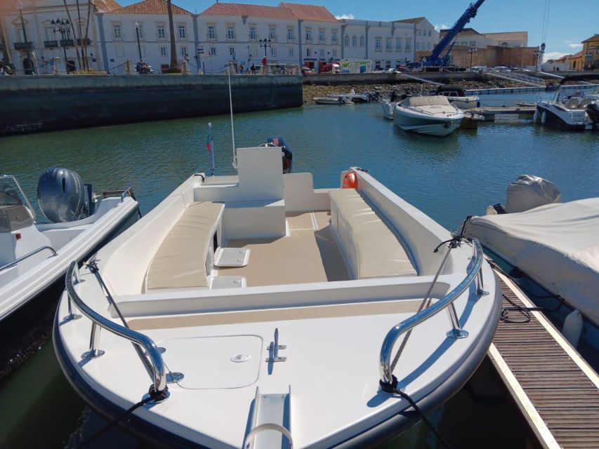 Faro: Dolphin and Marine Life Watching Boat Tour - Price and value: is $64 fair for this setup?