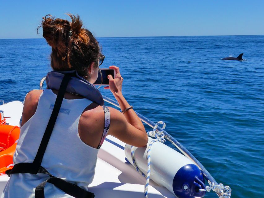 Faro: Dolphin and Wildlife Watching in the Atlantic Ocean - How dolphin viewing rules protect the animals