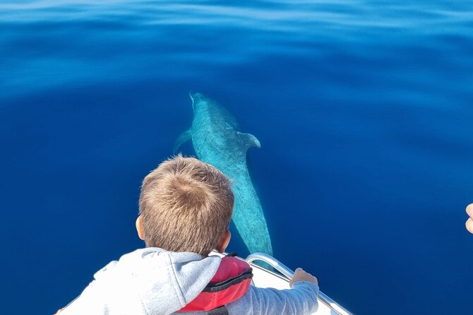 FARO Fantastic Dolphin Observation Tour and Marine Life - Stop 2, Ilha do Farol: From Island Points to Dolphin Search