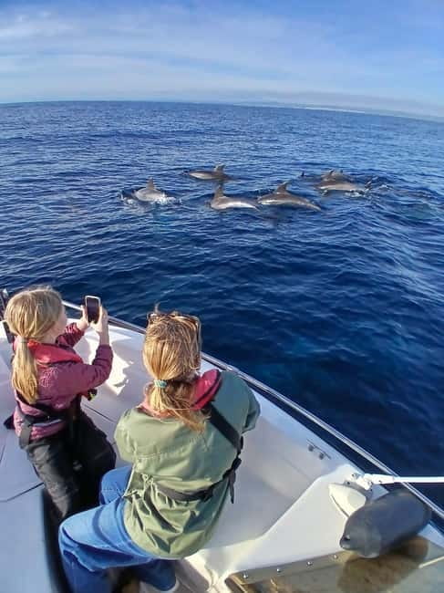 Faro: Funtastic Dolphin Watching Boat Tour - Getting From Faro Into the Right Mood at Ginásio Clube Naval