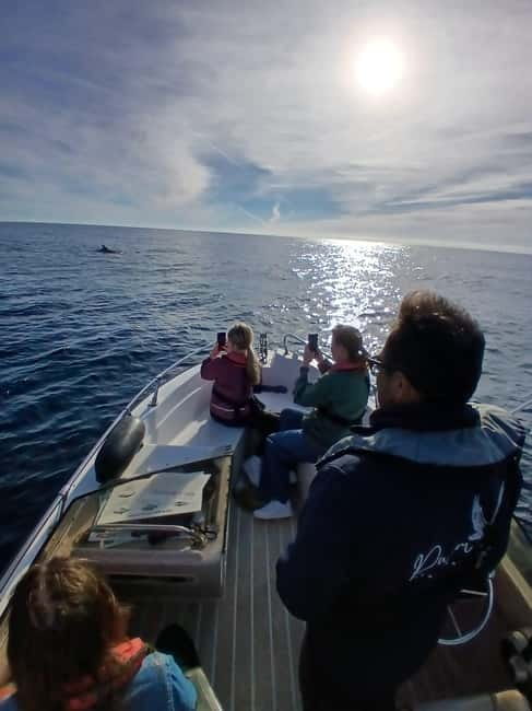 Faro: Funtastic Dolphin Watching Boat Tour - Heading Out to the Atlantic: Your Dolphin Watching Search Begins