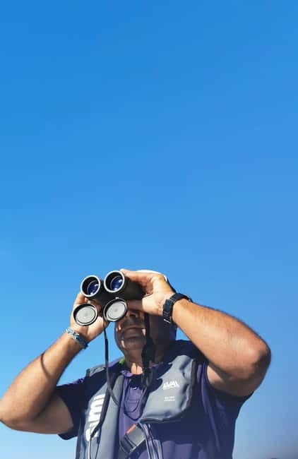 Faro: Funtastic Dolphin Watching Boat Tour - Practical Stuff That Helps: What to Bring and What to Avoid