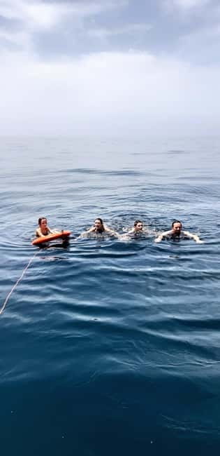 Faro: Half Day Private Tour in Ria Formosa Natural Park - Should you book Faro Half Day Private Tour in Ria Formosa?