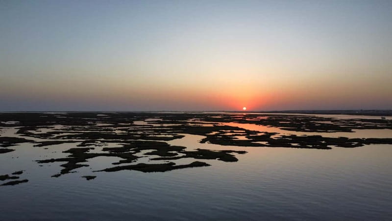 Faro: Half Day Private Tour in Ria Formosa Natural Park - What to bring, what not to bring