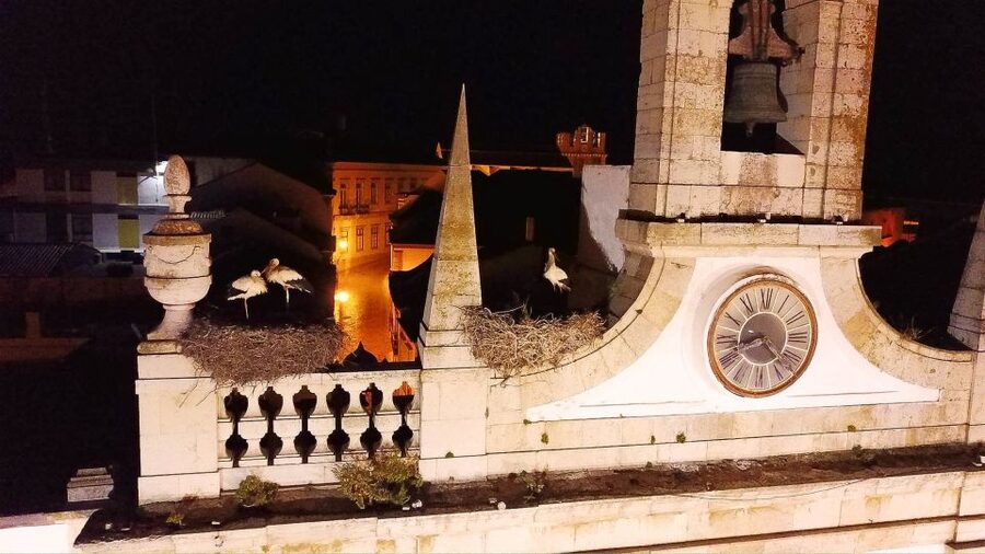 Faro: Night Segway Tour with Cocktails - Key things I’d plan around in this Faro night tour
