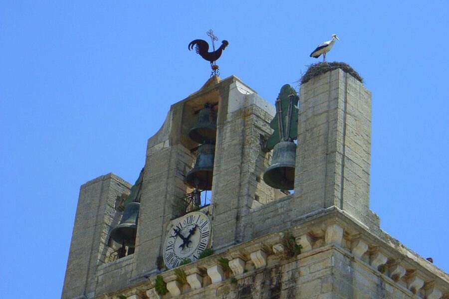Faro Private Walking Tour - Key highlights that make this Faro walk worth your time