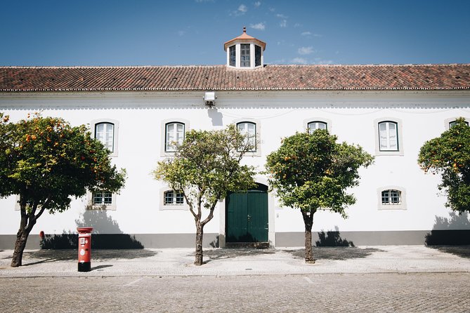 Faro Private Walking Tour: Uncovering its Architectural Legacy - Route flow and meeting points: start smart, finish in the right area