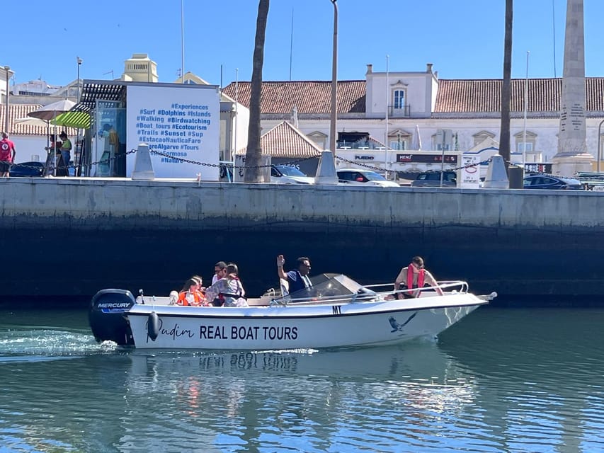 Faro: Pudim Real Boat Tours 6h guided boat tour Ria Formosa - Wildlife and mud flats: how to set your expectations