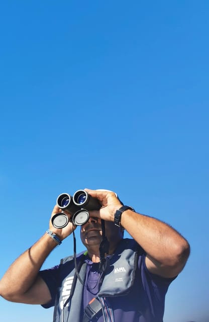 Faro: Pudim Real Boat Tours 6h guided boat tour Ria Formosa - Price and value: is $64 worth it?