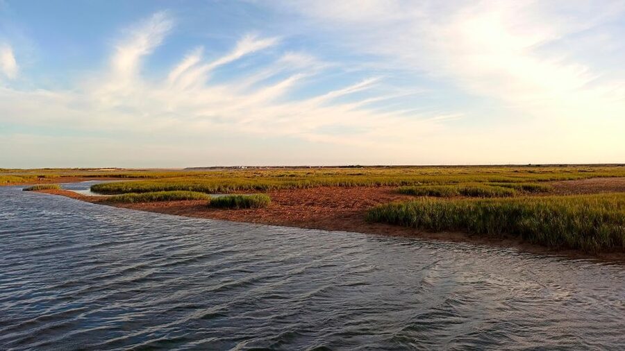Faro: Ria Formosa Boat Tour - What to wear and pack for Faro lagoon weather