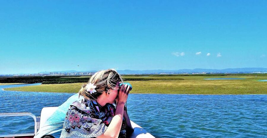 Faro: Ria Formosa Boat Tour - Cruising Ria Formosa Natural Park, marshes, and channels