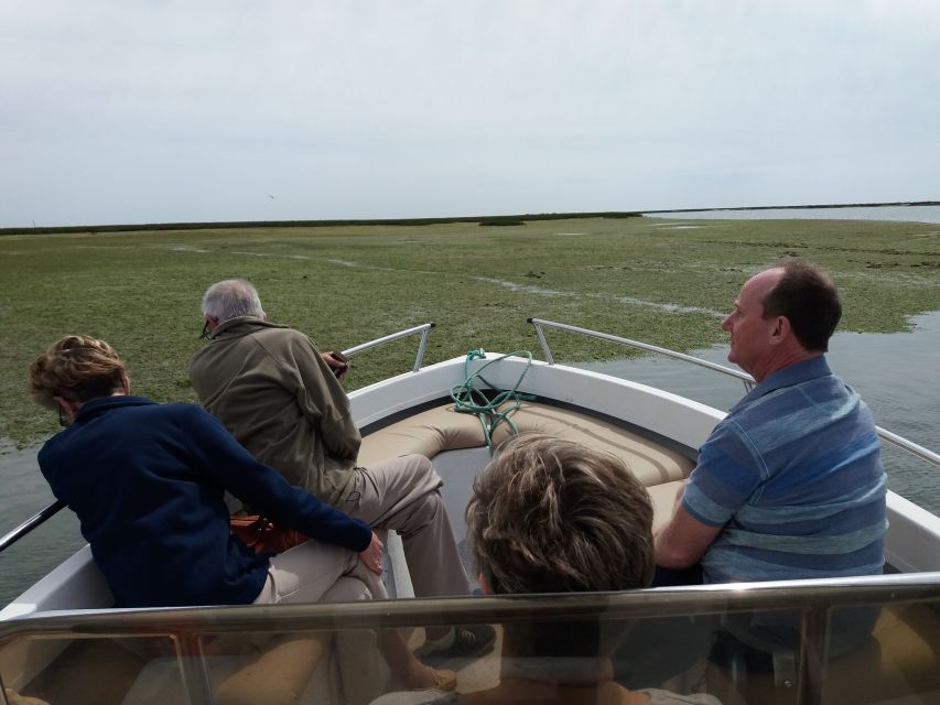 Faro: Ria Formosa Boat Tour - Bird spotting that is helped by tides (and seasons)