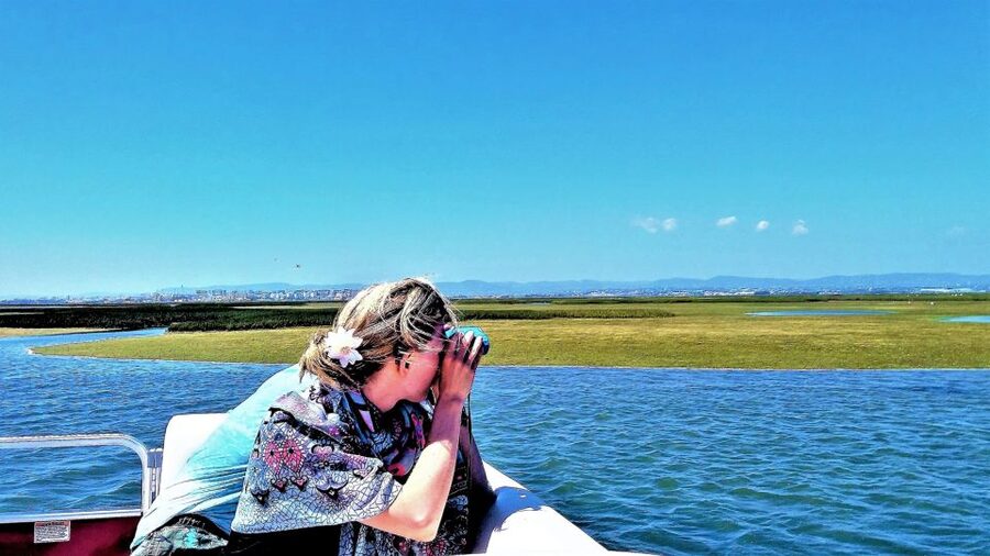 Faro: Ria Formosa Boat Tour - Faro history, explained from the water