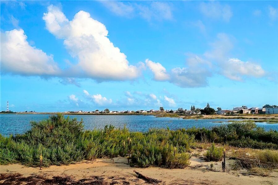 Faro: Ria Formosa Boat Tour - Price and value: what $31 buys you
