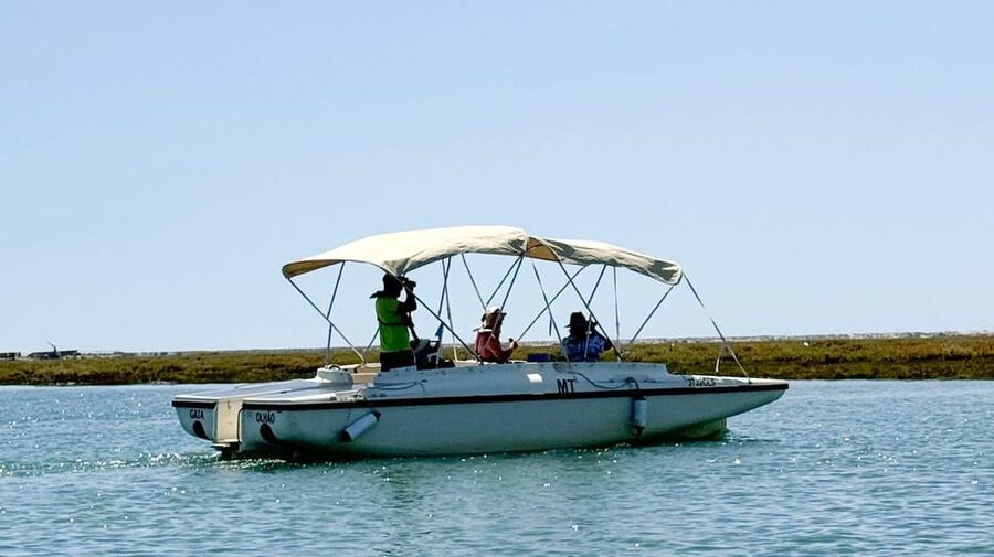 Faro: Ria Formosa Boat Tour by Eco-Friendly Solar Boat - Key things you’ll notice on this solar cruise
