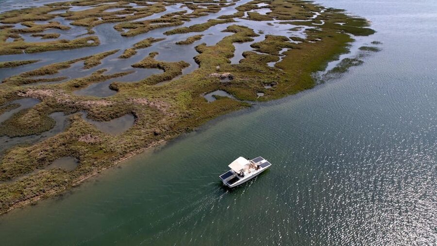 Faro: Ria Formosa Boat Tour by Eco-Friendly Solar Boat - Where you meet and how the 1-hour cruise feels in real time