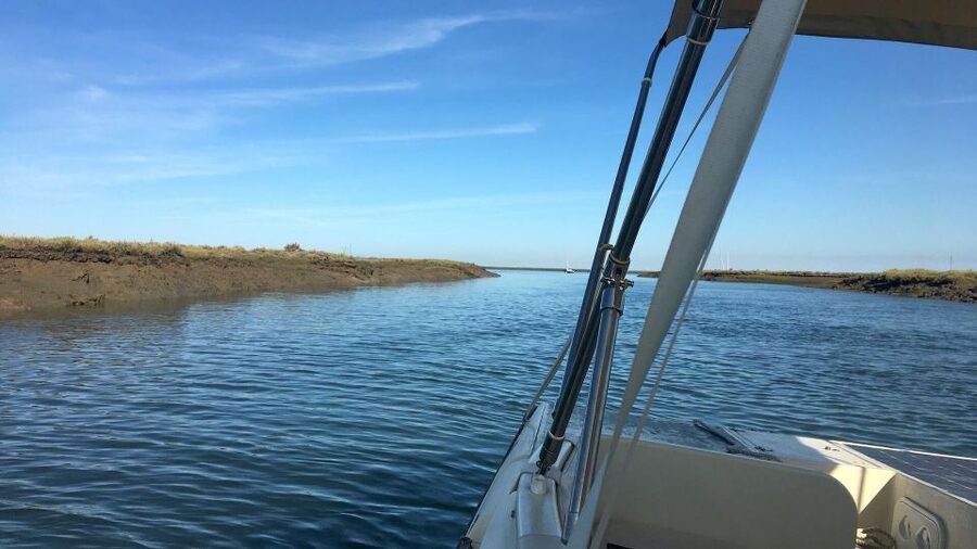 Faro: Ria Formosa Boat Tour by Eco-Friendly Solar Boat - Inside Parque Natural da Ria Formosa: birds, tides, and close-up nature