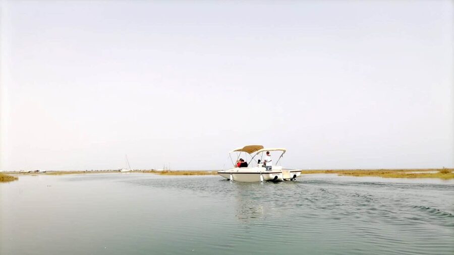 Faro: Ria Formosa Boat Tour by Eco-Friendly Solar Boat - Meeting the guide: more than bird spotting in one hour
