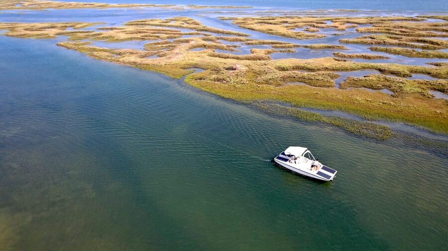Faro: Ria Formosa Boat Tour by Eco-Friendly Solar Boat - Should you book the Faro Ria Formosa solar boat tour?