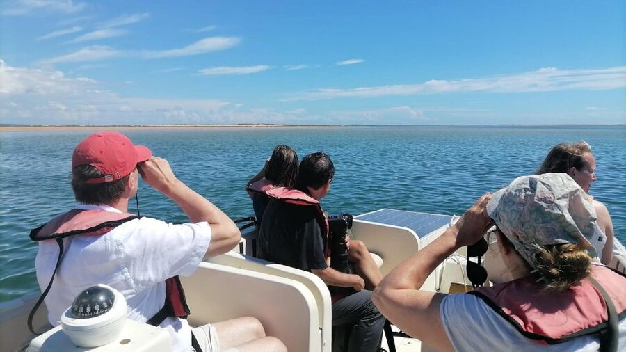 Faro: Ria Formosa Eco Birdwatching Boat Tour - Why Ria Formosa birdwatching feels so good from Faro