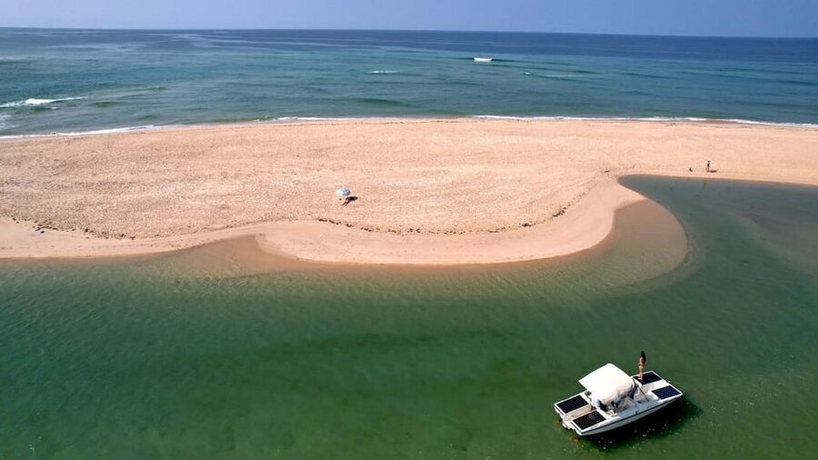Faro: Ria Formosa Eco Birdwatching Boat Tour - When April and May slow down: the Barrinha Beach walking option