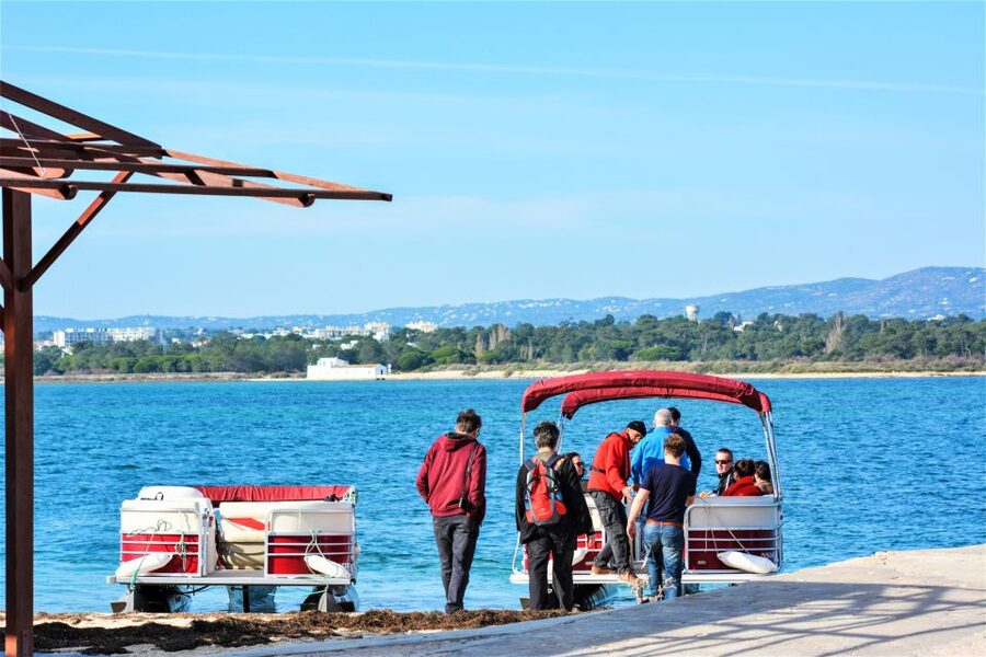 Faro: Ria Formosa Faro Islands Boat Tour - Ria Formosa in a small-group boat, and what $47 really covers