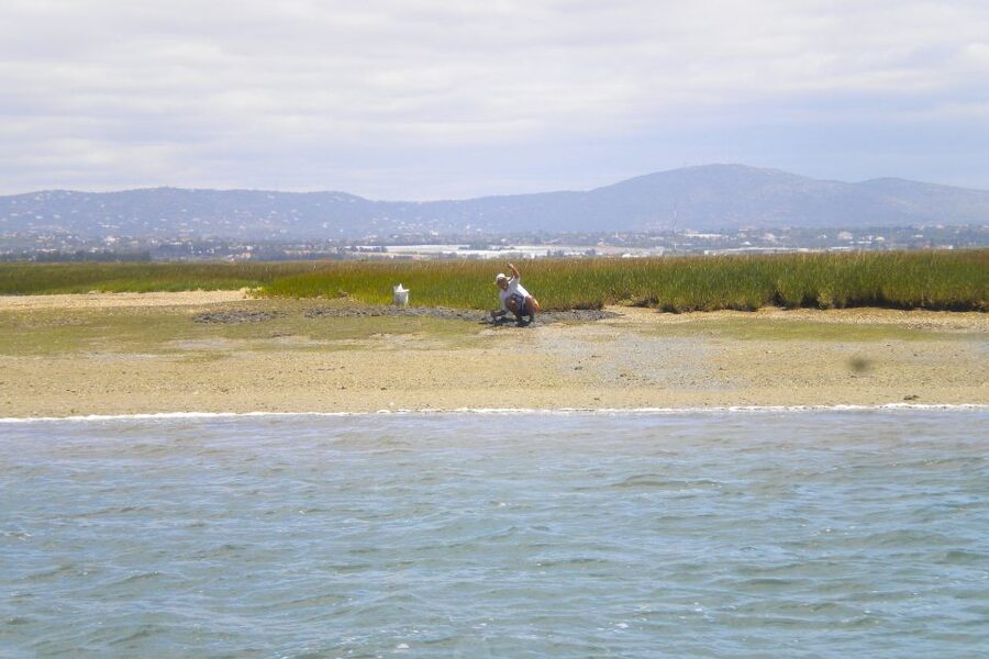 Faro: Ria Formosa Lagoon Small Boat Tour with Local Guide - Pontoon comfort and why this boat style suits Faro