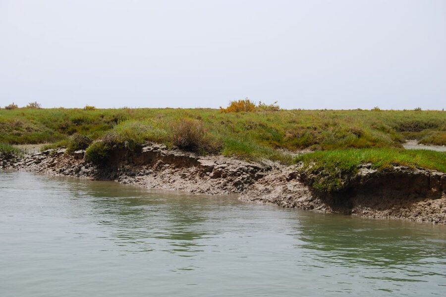 Faro: Ria Formosa Lagoon Small Boat Tour with Local Guide - Old Town Faro walls, seen the right way from the water