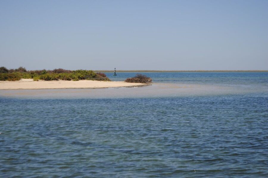 Faro: Ria Formosa Lagoon Small Boat Tour with Local Guide - Who’s this tour best for?