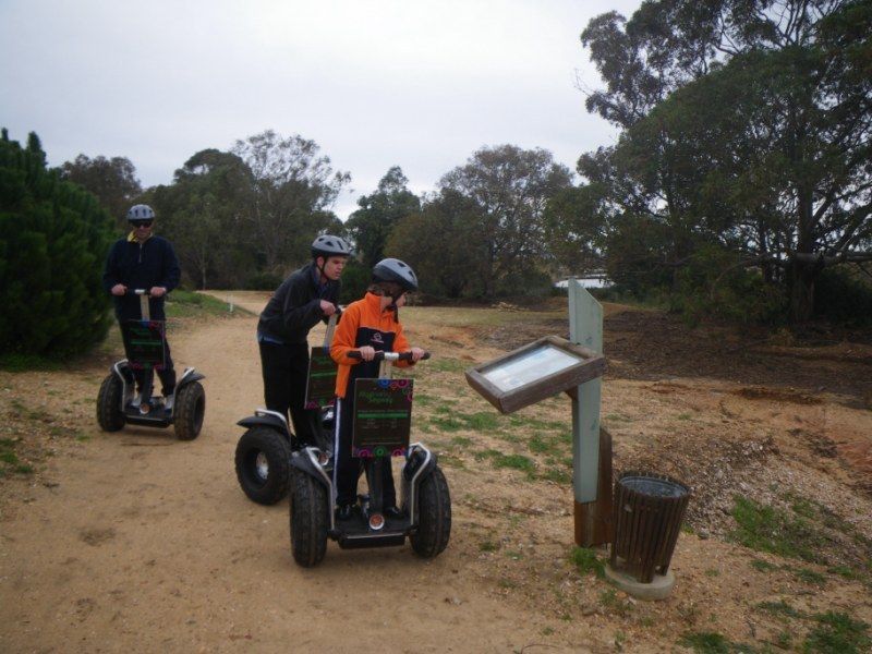 Faro: Ria Formosa Natural Park Segway Tour & Birdwatching - Who should book this Segway birdwatching in Faro