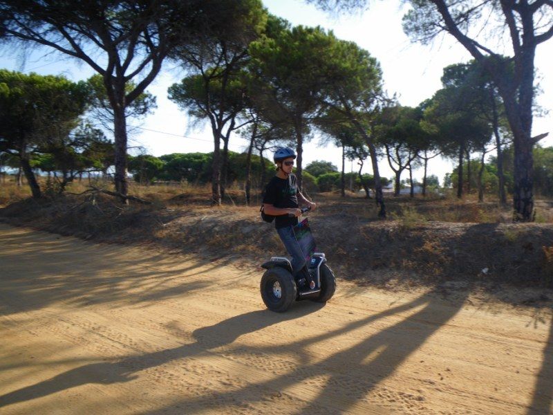 Faro: Ria Formosa Natural Park Segway Tour & Birdwatching - Ludo nature reserve birdwatching: the real payoff