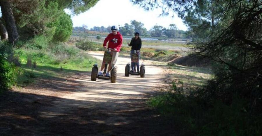 Faro: Ria Formosa Natural Park Segway Tour & Birdwatching - Weather reality: when the sky changes the mood