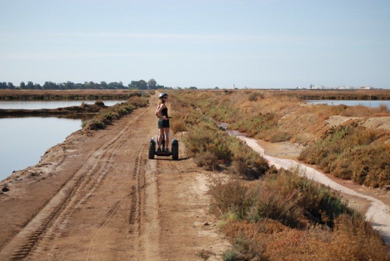 Faro: Ria Formosa Natural Park Segway Tour & Birdwatching - Price and value: what $66 buys you in the real world