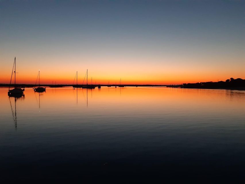 Faro: Ria Formosa Sunset Nature Boat Tour - Key takeaways before you go
