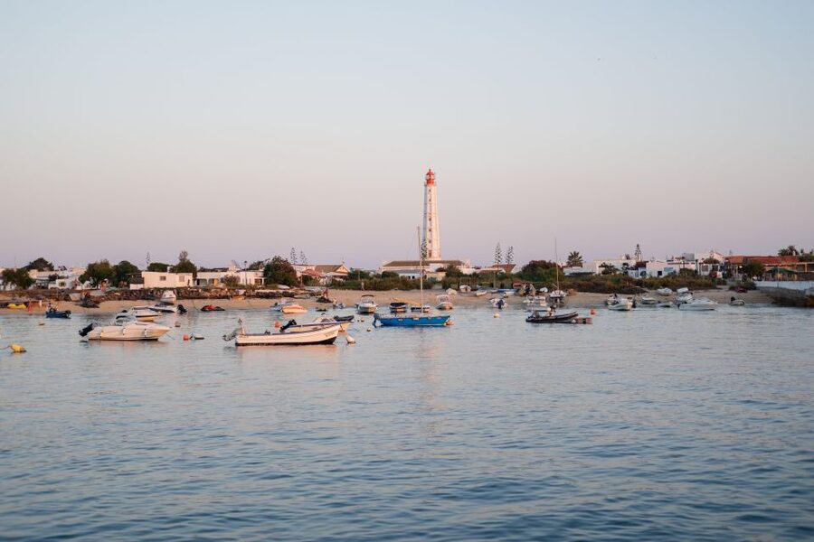 Faro: Ria Formosa Sunset Nature Boat Tour - Ilha Deserta and Farol barrier islands: what you will spot