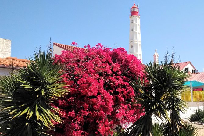 Faro - Ria Formosa tour with visit to 2 islands (Deserta, Farol) 3.5 hours - Should You Book This Faro Ria Formosa Island Tour?