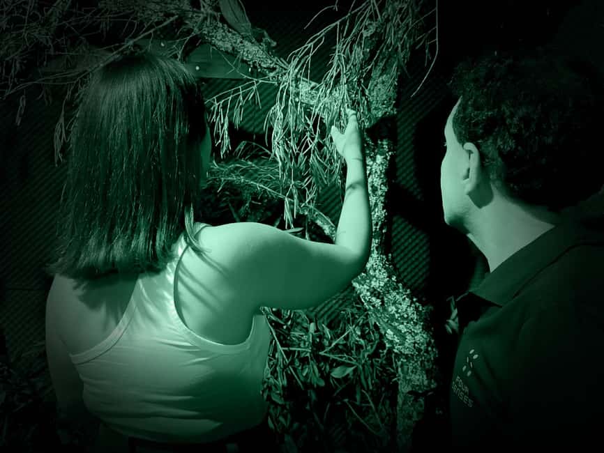 FOUR SENSES: The Immersive Experience in the Dark – Faro - The guides: stories that make the experience stick