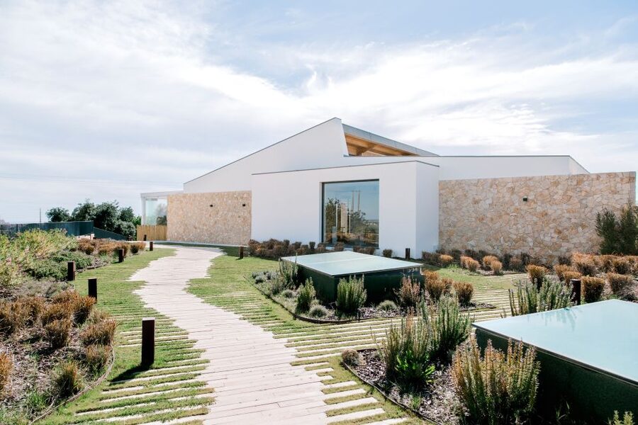 From Albufeira: 4x4 Off-Road Safari & Vineyard Wine Tasting - Key highlights worth aiming for