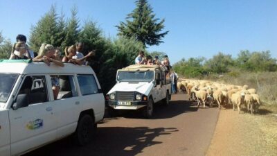4×4 Off-Road Safari & Vineyard Wine Tasting