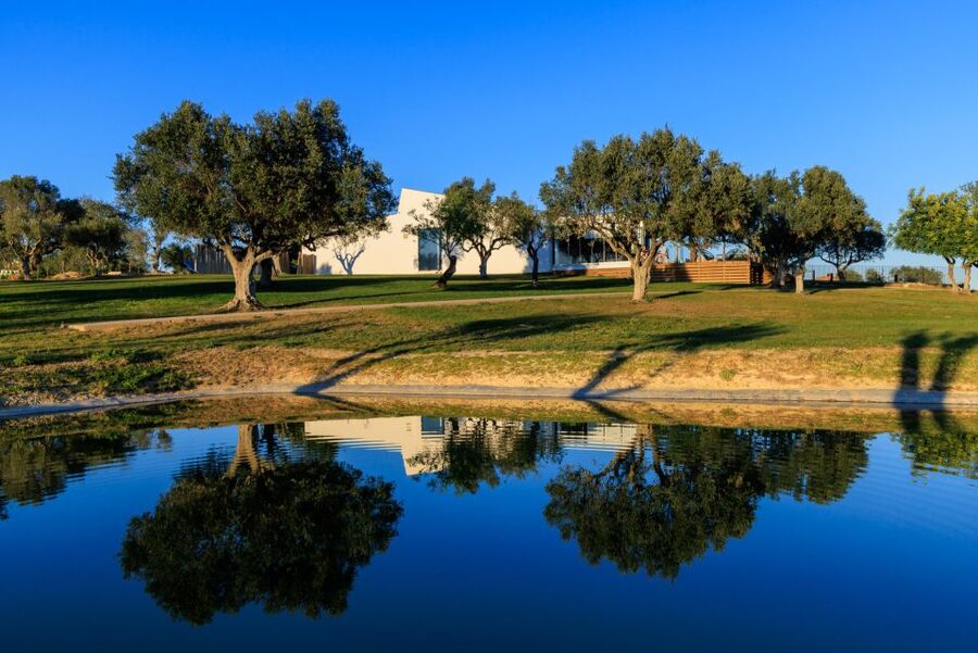 From Albufeira: 4x4 Off-Road Safari & Vineyard Wine Tasting - Food, Sun, and Practical Tips Before You Go
