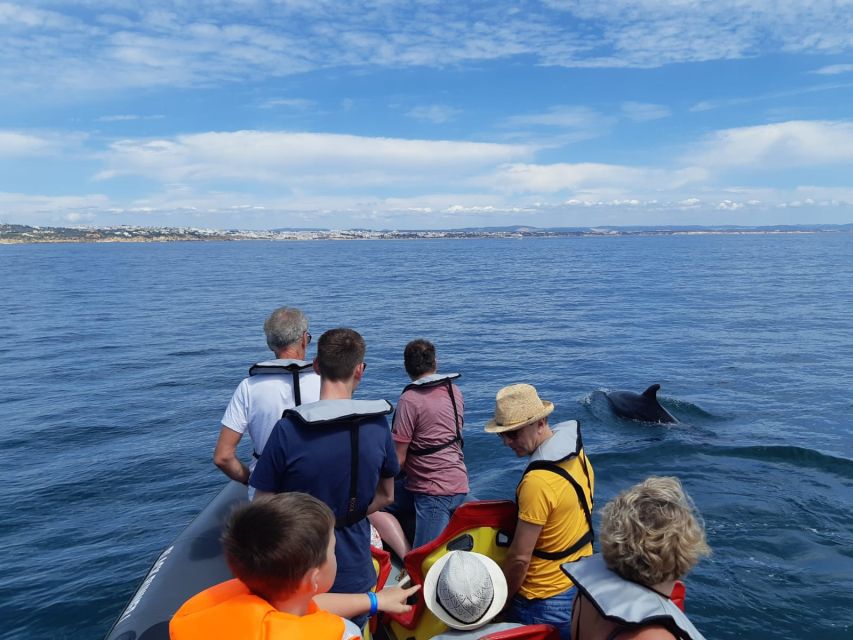 From Albufeira: Benagil Caves and Dolphins Guided Boat Tour - Swimming Time: The Fun Part, With Sea-Condition Reality Checks