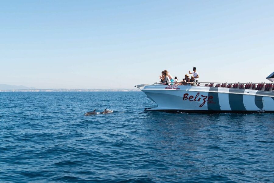 From Albufeira: Dolphins and Caves 2.5-Hour Boat Trip - FAQ