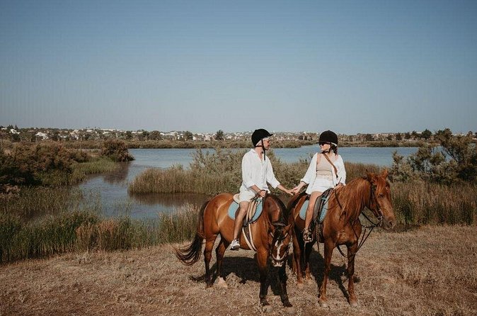 From Albufeira: Horse Riding Tour with Pickup - Beginner to experienced: how safety and comfort are handled