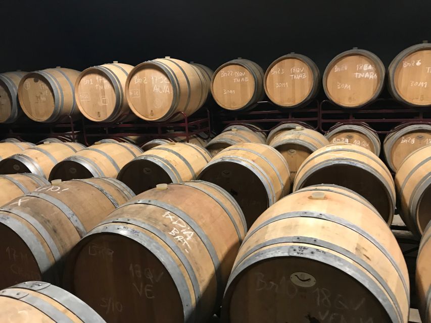 From Albufeira: Wine Tasting & Historic Silves Tour - The Wine Tasting: 3 Local Wines Paired with Nibbles
