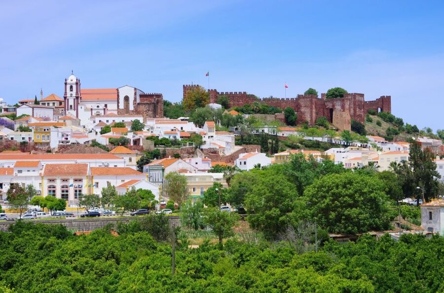 From Albufeira: Wine Tasting & Historic Silves Tour - Price and Value: Why $76 Can Make Sense