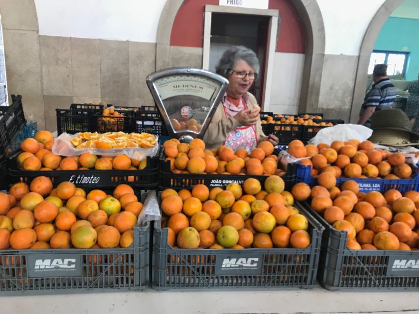 From Albufeira: Wine Tasting & Historic Silves Tour - What to Bring and How to Get the Most