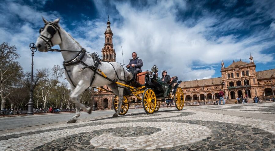 From Algarve: Private Seville Day Trip with Transfer - Price and Logistics: What $353 Covers, and What It Does Not